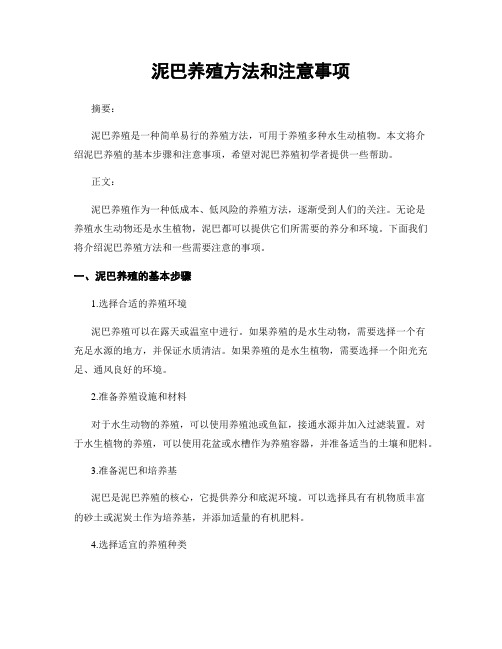 泥巴养殖方法和注意事项