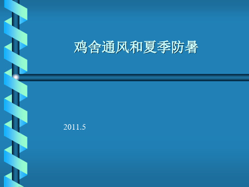 肉鸡养殖通风和防暑管理