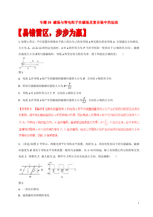 高考物理(四海八荒易错集)专题09磁场与带电粒子在磁场及复合场中的运动