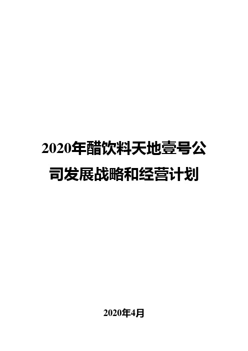 2020年醋饮料天地壹号公司发展战略和经营计划