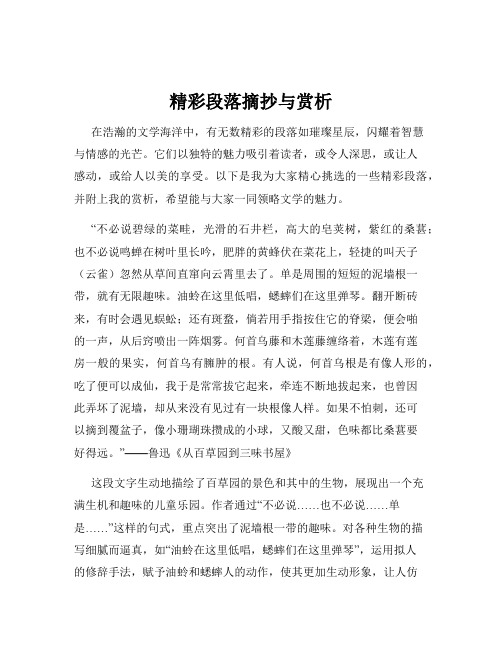 精彩段落摘抄与赏析