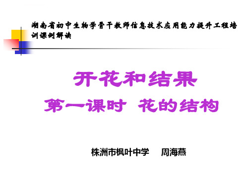 湖南省初中生物学骨干教师信息技术应用能力提升工程培训课例解读41ppt课件