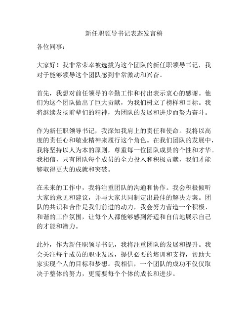 新任职领导书记表态发言稿