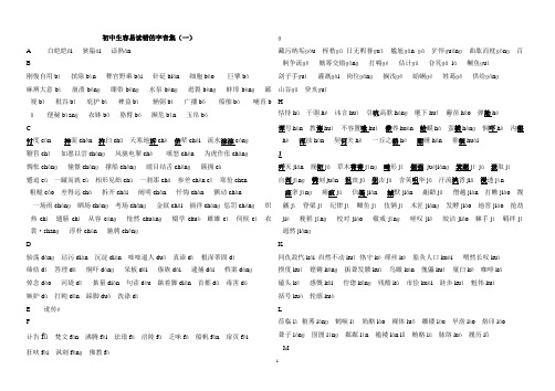 初中生易读错的字词