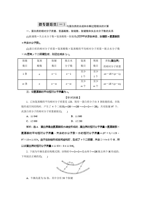  苏教版 必修1 与蛋白质的合成和水解过程相关的计算 教案