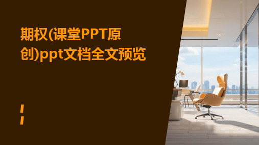 期权(课堂PPT原创)ppt文档全文预览