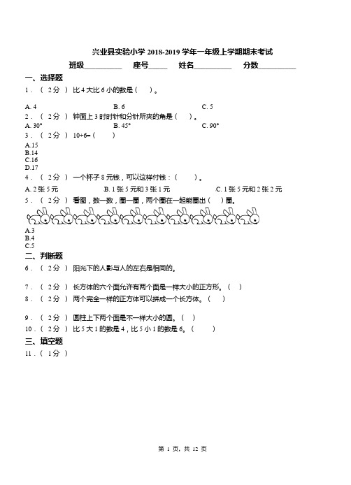 兴业县实验小学2018-2019学年一年级上学期期末考试