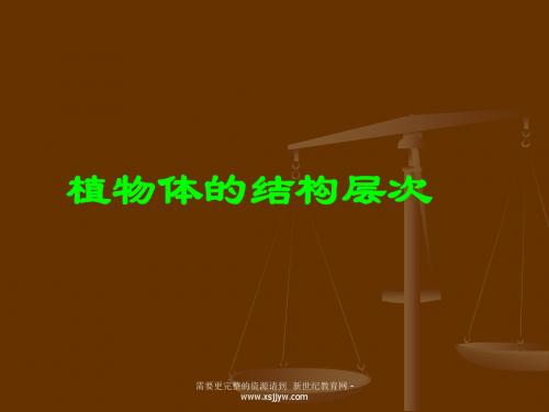 第三节植物体的结构层次(课件+教学设计+习题精选)-1.ppt