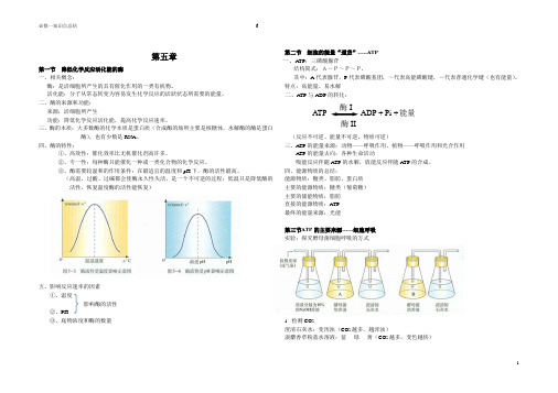 (word完整版)人教版生物必修一第5章知识点,推荐文档