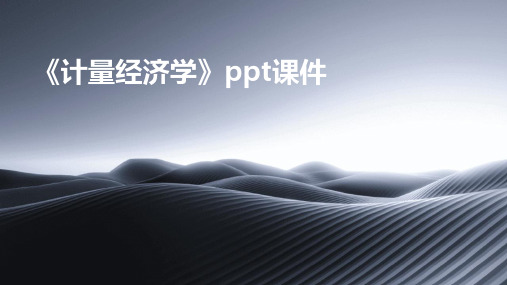 《计量经济学》ppt课件