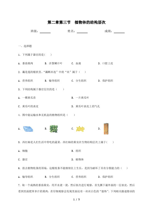人教版生物七年级上册第二单元第二章第三节植物体的结构层次同步测试(含答案)