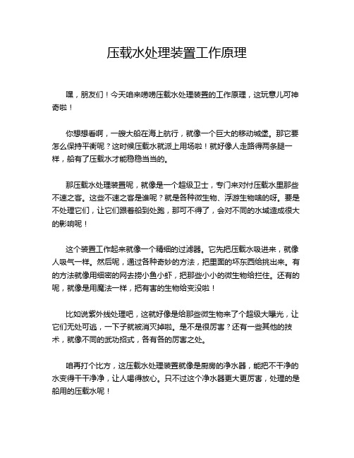 压载水处理装置工作原理