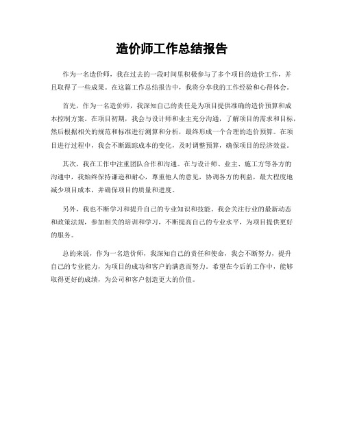 造价师工作总结报告