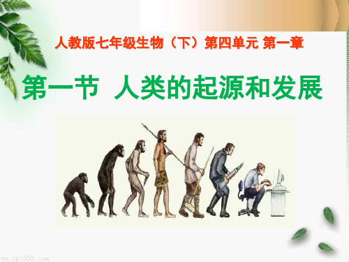 《人类的起源和发展》人的由来4-人教版七年级生物下册PPT课件