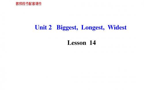 Unit 2 Biggest,Longest,Widest Lesson 14 课件(冀教版九年级上)