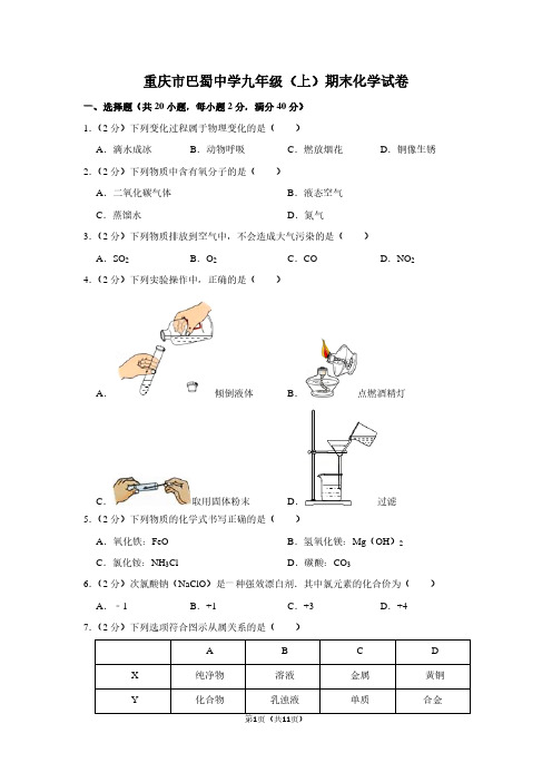 重庆市巴蜀中学九年级(上)期末化学试卷