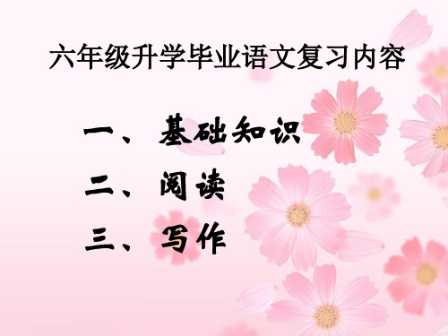小学六年级语文毕业总复习