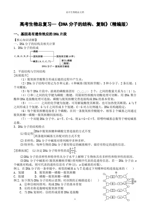 高考生物总复习—《DNA分子的结构、复制》(精编版)—精品文档