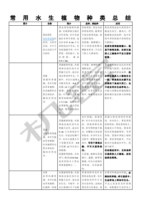 常用水生植物种类总结