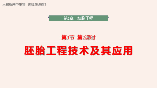 【高中生物】胚胎工程技术及其应用课件 2022-2023学年高二下学期生物人教版选择性必修3