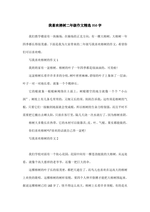 我喜欢榕树二年级作文精选350字