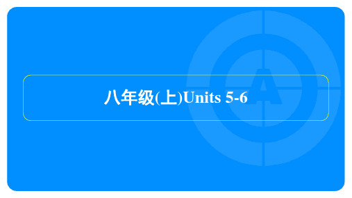2024年人教版中考英语总复习第一部分知识点梳理八年级(上)Units 5-6