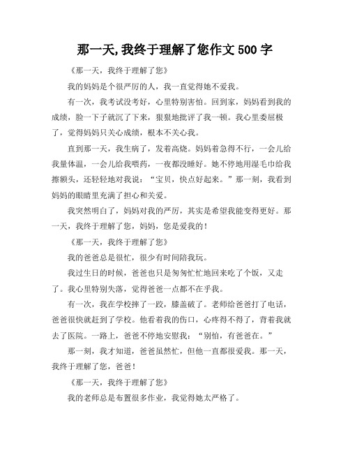 那一天,我终于理解了您作文500字