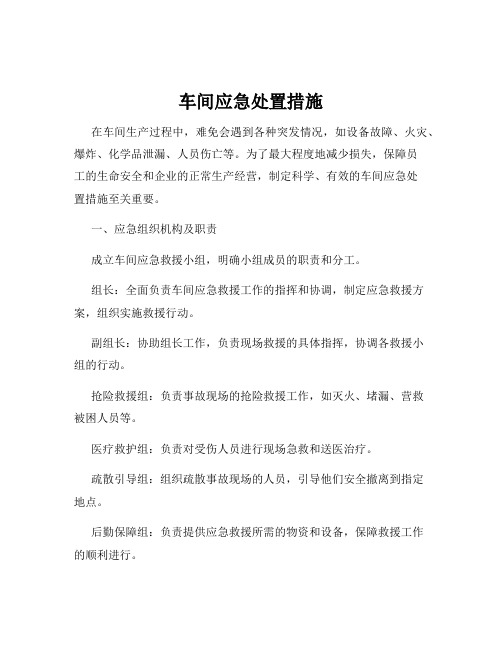 车间应急处置措施