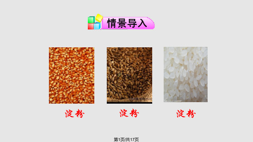 苏教七年级生物上册光合作用的实质张PPT课件