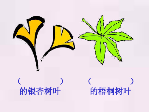 人教版小学语文二年级上册19《蓝色的树叶》精品PPT课件