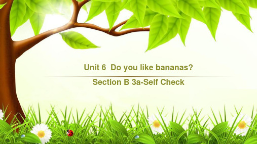 最新人教版七年级英语上册  Unit 6 Section B (3a-Self Check) 课件