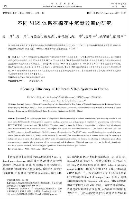 不同VIGS体系在棉花中沉默效率的研究