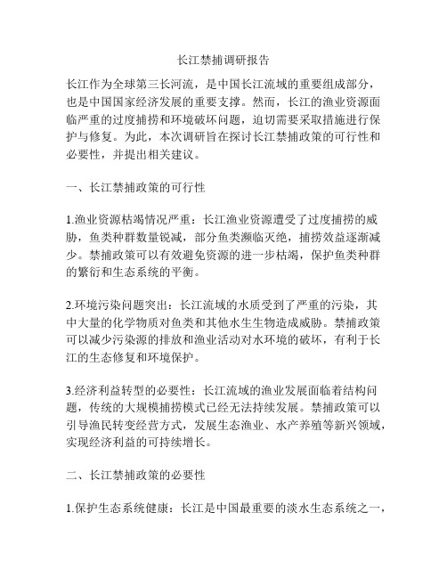 长江禁捕调研报告