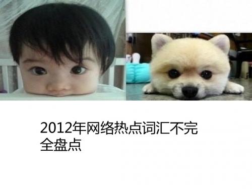 2012年网络热点词汇完全盘点