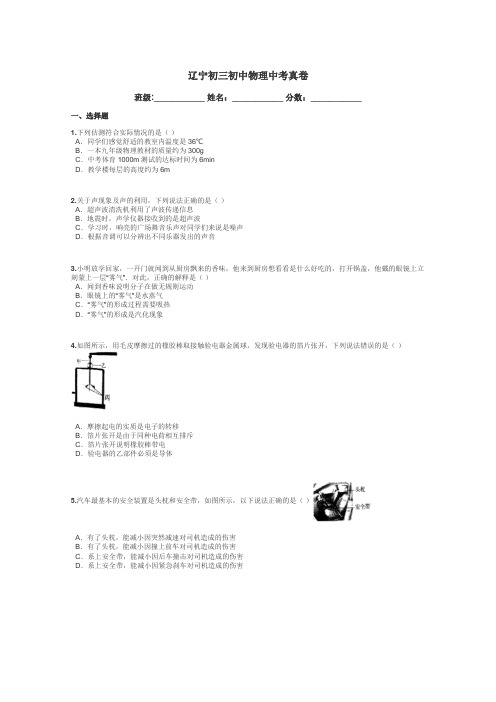 辽宁初三初中物理中考真卷带答案解析
