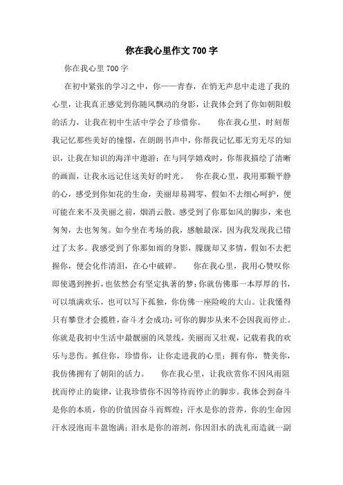 你在我心里作文700字