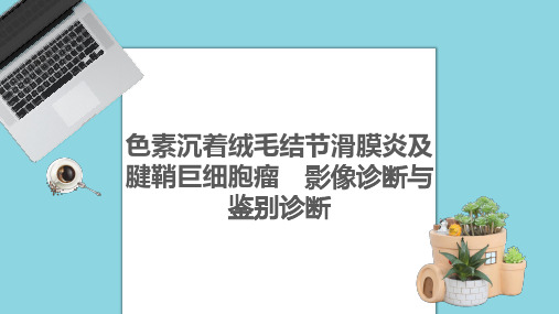 色素沉着绒毛结节滑膜炎及腱鞘巨细胞瘤的影像诊断与鉴别诊断