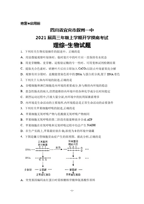 2021届四川省宜宾市叙州一中高三年级上学期开学摸底考试理综生物试题及答案