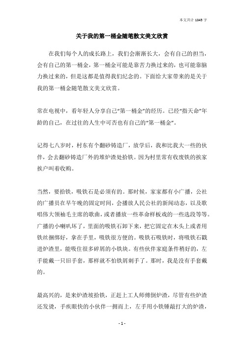 关于我的第一桶金随笔散文美文欣赏