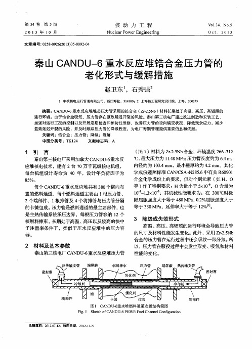 秦山CANDU-6重水反应堆锆合金压力管的老化形式与缓解措施