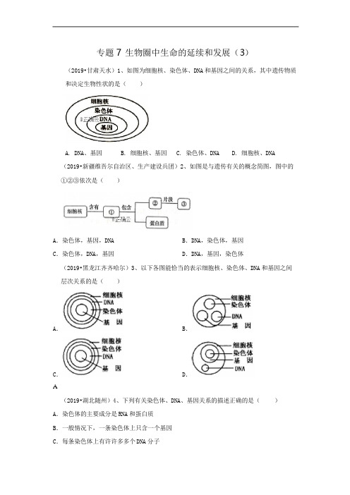 2019年中考生物真题专项汇编：专题7 生物圈中生命的延续和发展(3)