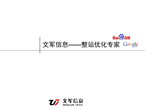 [整站优化]介绍