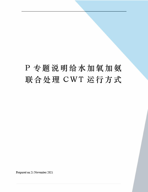 P专题说明给水加氧加氨联合处理CWT运行方式