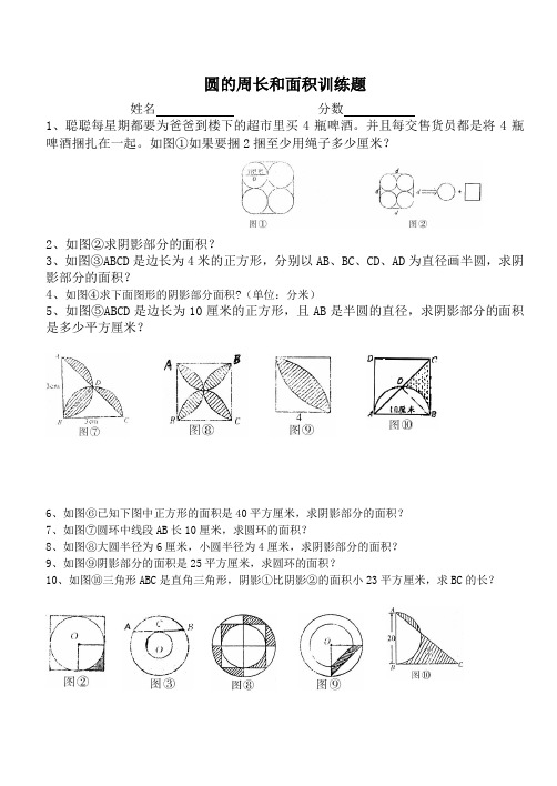 圆的周长和面积专项训练题