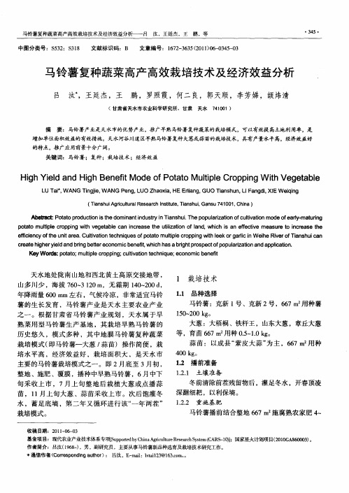 马铃薯复种蔬菜高产高效栽培技术及经济效益分析
