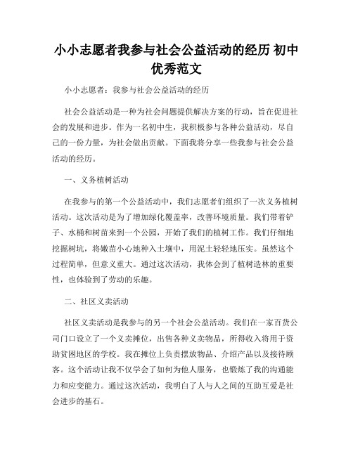 小小志愿者我参与社会公益活动的经历 初中优秀范文