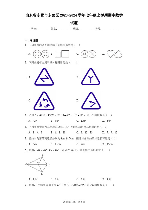 山东省东营市东营区2023-2024学年七年级上学期期中数学试题