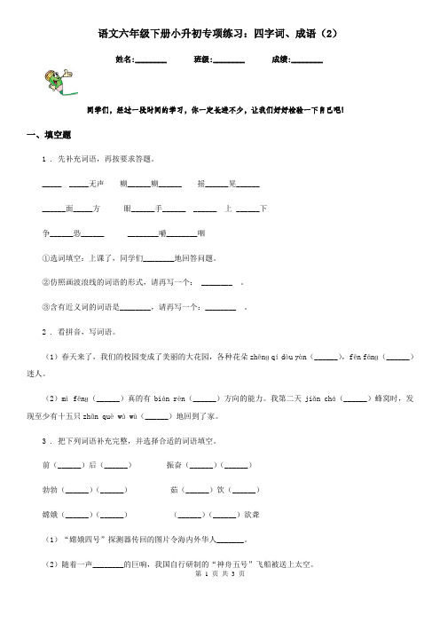 语文六年级下册小升初专项练习：四字词、成语(2)