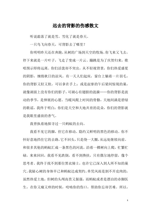 远去的背影的伤感散文
