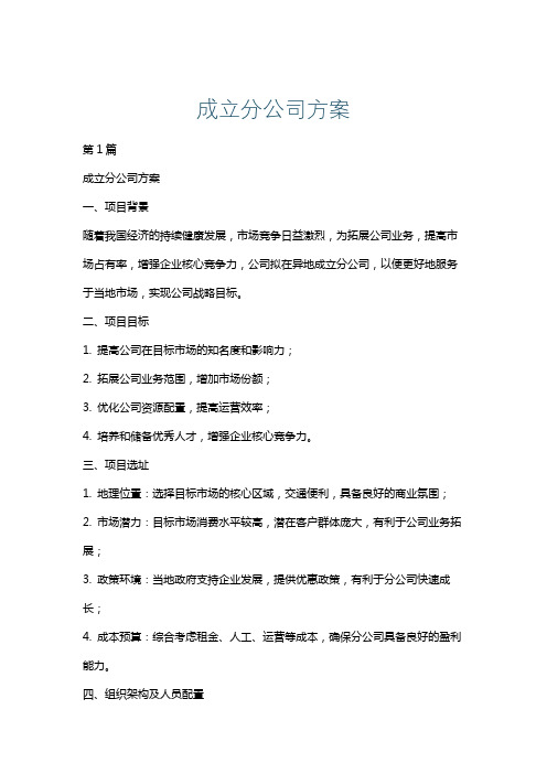 成立分公司方案